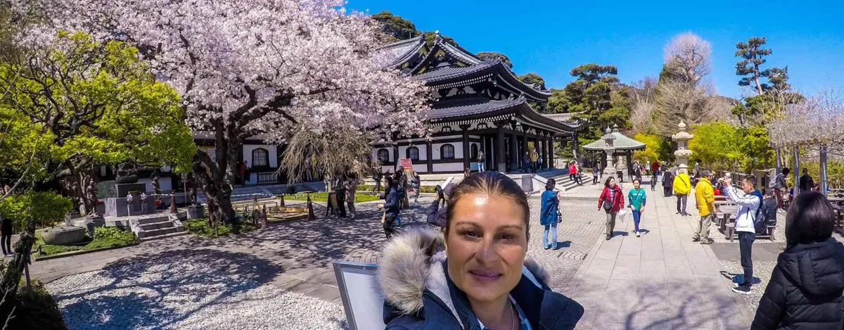 Kamakura Gezi Rehberi: Tapınakların Merkezinde Zamansız Bir Keşif